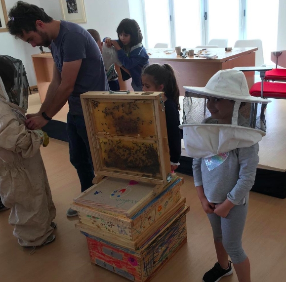 Las abejas van al colegio.